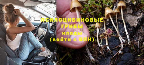 не бодяженный Белокуриха