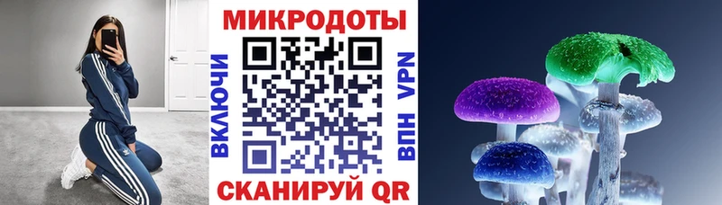 Купить закладки  Новый Оскол  Псилоцибиновые грибы ЛСД 